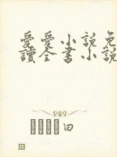 爱爱小说免费阅读全书小说乡村