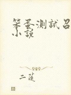 笨蛋测试召唤兽小说
