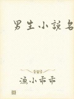 男生小说名字