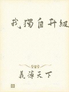 我独自升级封面