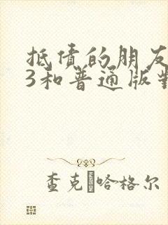 抵债的朋友麦子3和普通版对比