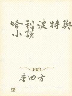 哈利波特与密室小说