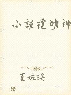 《小说琼明神女录》小说封面