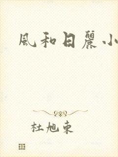 风和日丽小说