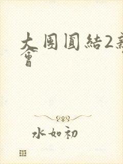 大团圆结2亲情会