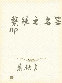 系统之名器攻略np