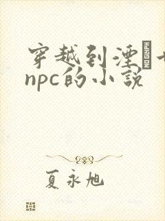 穿越到湮婸世界npc的小说