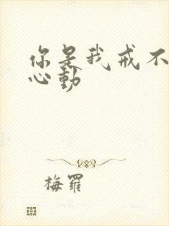 你是我戒不掉的心动