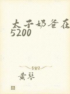 太子奶爸在花都5200