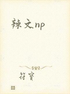 辣文np