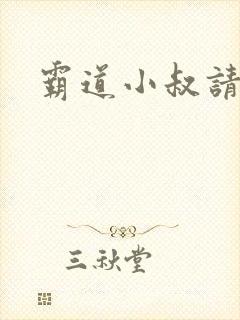 霸道小叔请轻撩