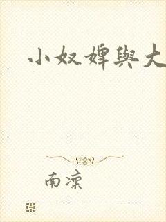 小奴婢与大少爷