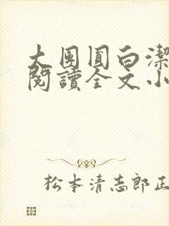 大团圆白洁免费阅读全文小说