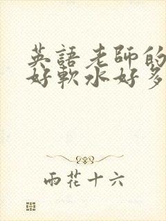 英语老师的兔子好软水好多