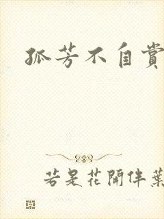 孤芳不自赏小说