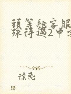 头等舱客服的特殊待遇2中字