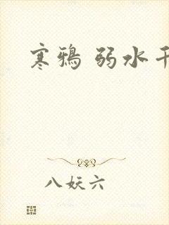 寒鸦 弱水千流