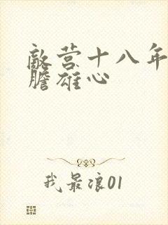 敌营十八年2虎胆雄心封面