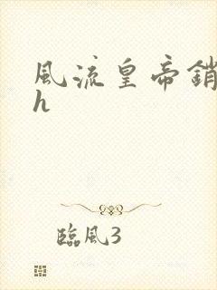 风流皇帝销魂夜h