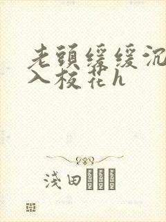 老头缓缓沉腰进入校花h