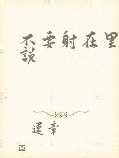 不要射在里面小说