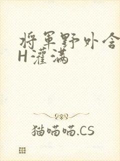 将军野外含公主H灌满