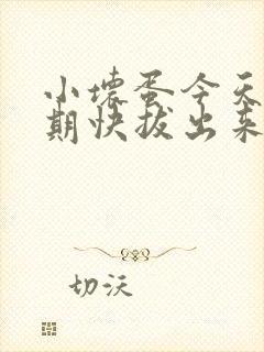 小坏蛋今天危险期快拔出来