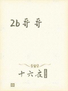 2b哥哥