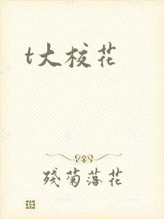 t大校花
