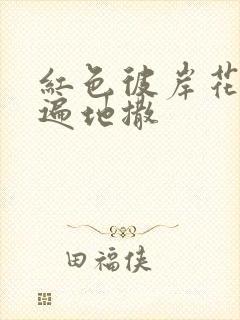 红色彼岸花花瓣遍地撒