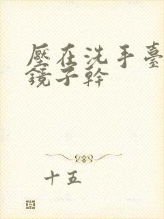 压在洗手台看着镜子干