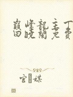 巅峰龙主丁长顺田晓兰免费阅读