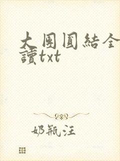 大团圆结全文阅读txt