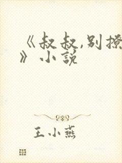 《叔叔,别撩我》小说