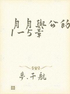 月月与公的激情1一5章