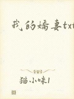 我的娇妻txt