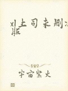 xl上司未删减版