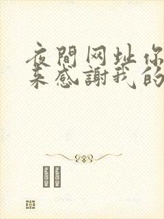 夜间网址你会回来感谢我的
