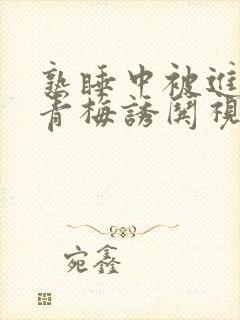 熟睡中被进了H青梅诱哄视频