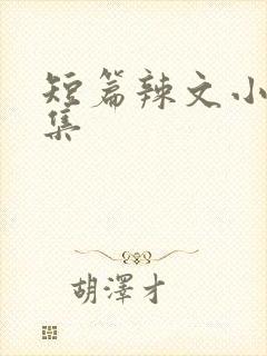 短篇辣文小说合集