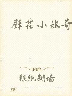 壁花小姐奇遇记