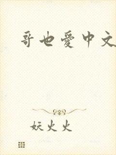 哥也爱中文封面