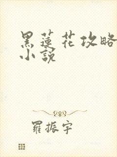 黑莲花攻略手册小说