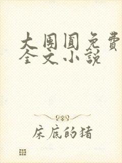 大团圆免费阅读全文小说