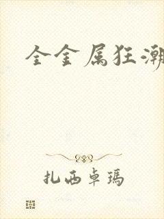 全金属狂潮小说