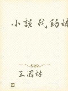 小说 我的娇妻封面