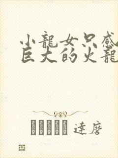 小龙女只感觉那巨大的火龙枪