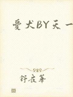 爱犬BY天一