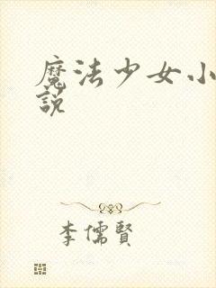 魔法少女小圆小说