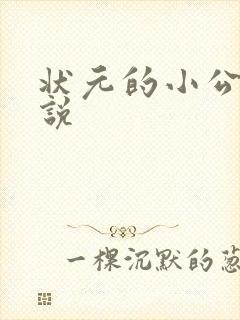 状元的小公主小说